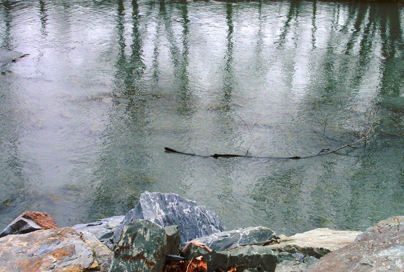 Nichols, NY : Nichols Park