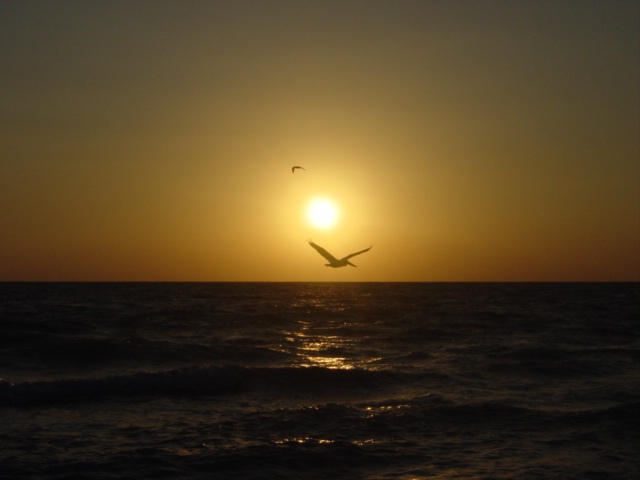 Naples, FL : Picture-perfect Sunset by the Naples Pier