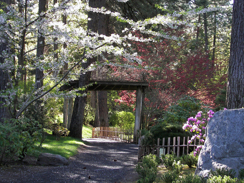 Spokane Wa Manito Japanese Gardens Photo Picture Image