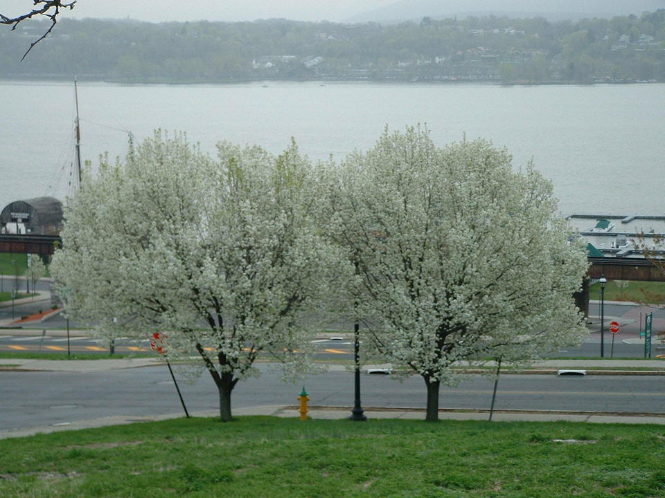 Newburgh, NY: Springtime at the Newburgh Waterfront
