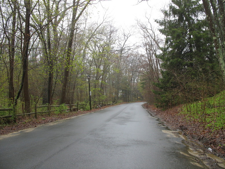 Beverly, MA: Spring Rain on a Road in Beverly