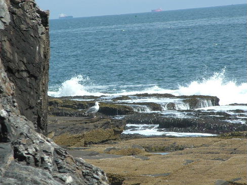 Cape Elizabeth, ME : Two Lights State Park, Cape Elizabeth, Maine