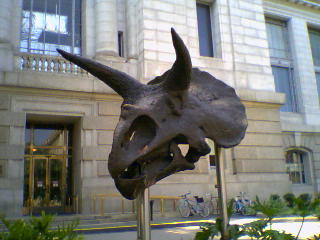 Washington, DC : The National Museum of Natural History - Smithsonian Institution, Washington D.C.