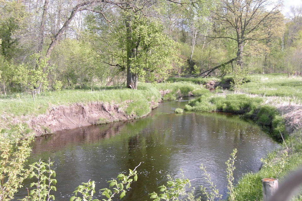 Rock Creek, MN : Rock Creek