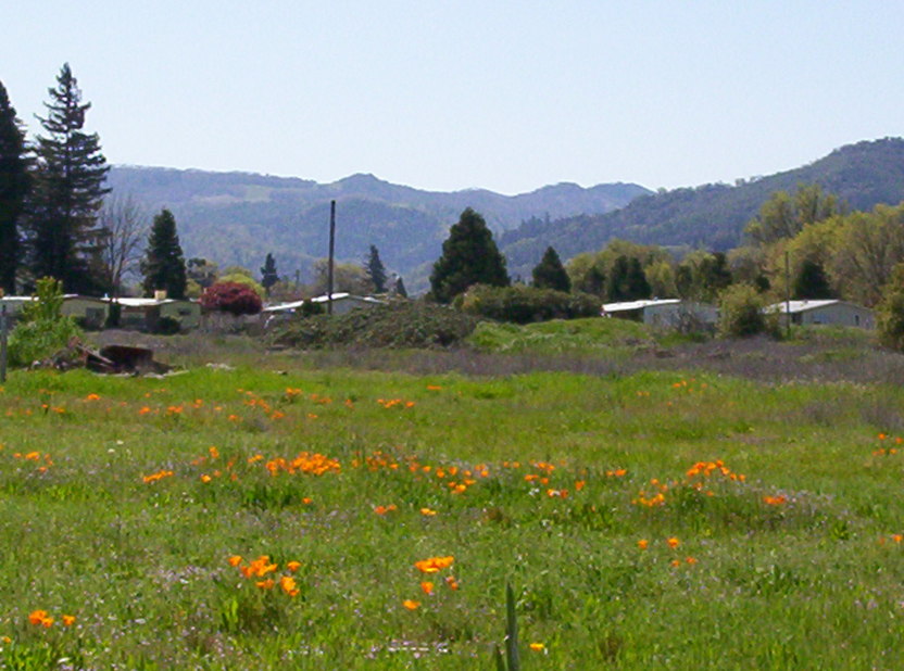 Ukiah, CA : Next to the Skate Park