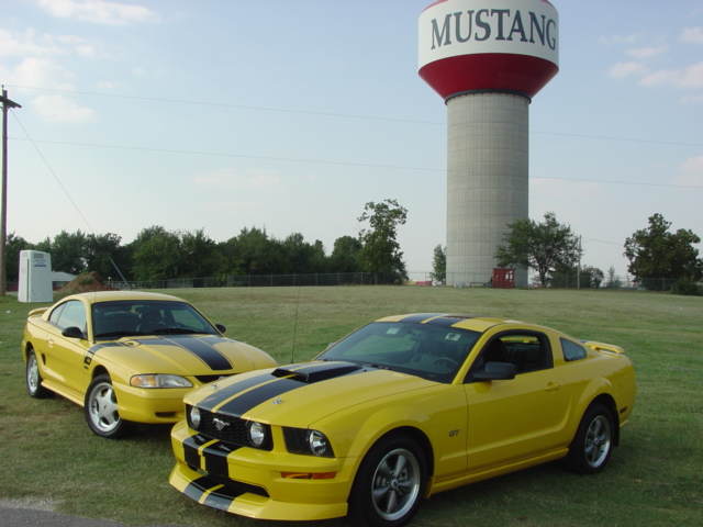 Mustang, OK: Wild horses