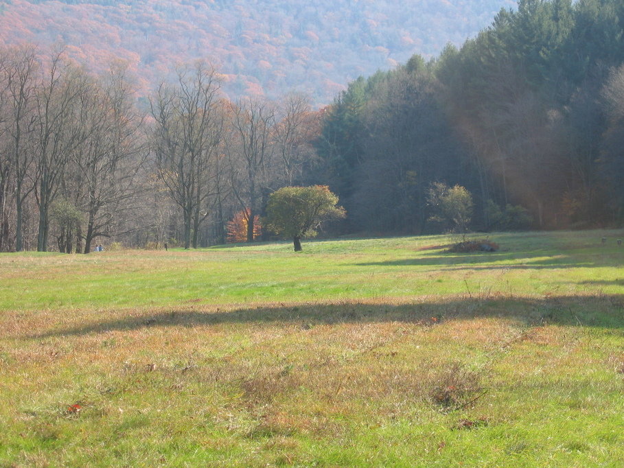 Charlemont, MA Meadows, Mohawk State Park photo, picture, image