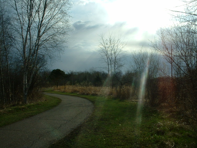 Foley, MN : Sun Rays