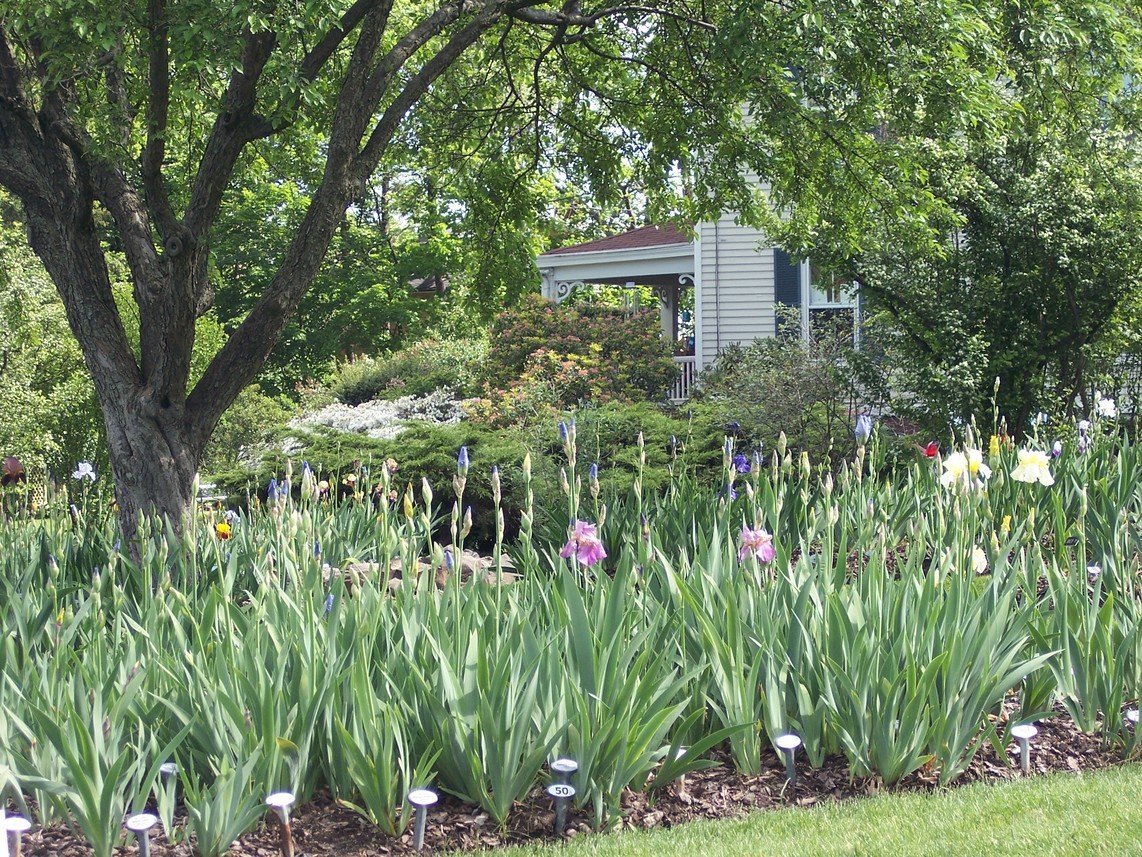 Montclair, NJ : Scene from the Presby Iris Memorial Gardens
