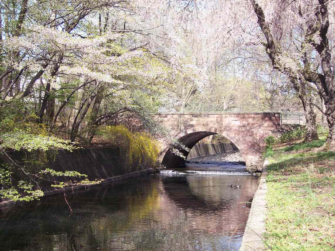 branch brook park