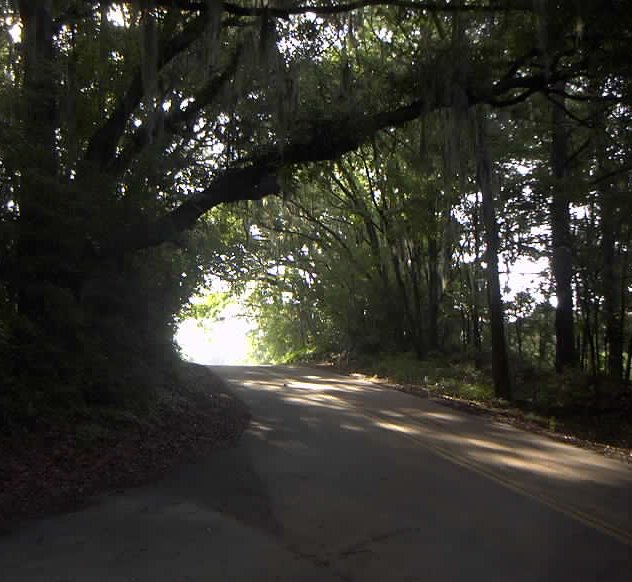 Tallahassee, FL : Miller Landing Road, early morning