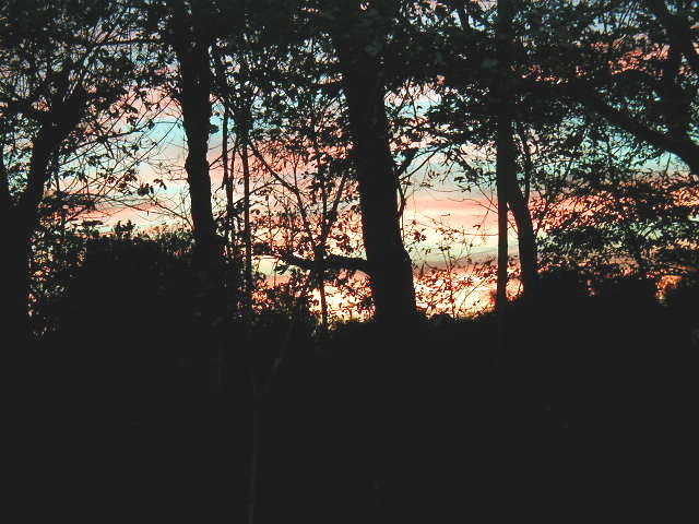 Ripley, TN : Ripley sunrise