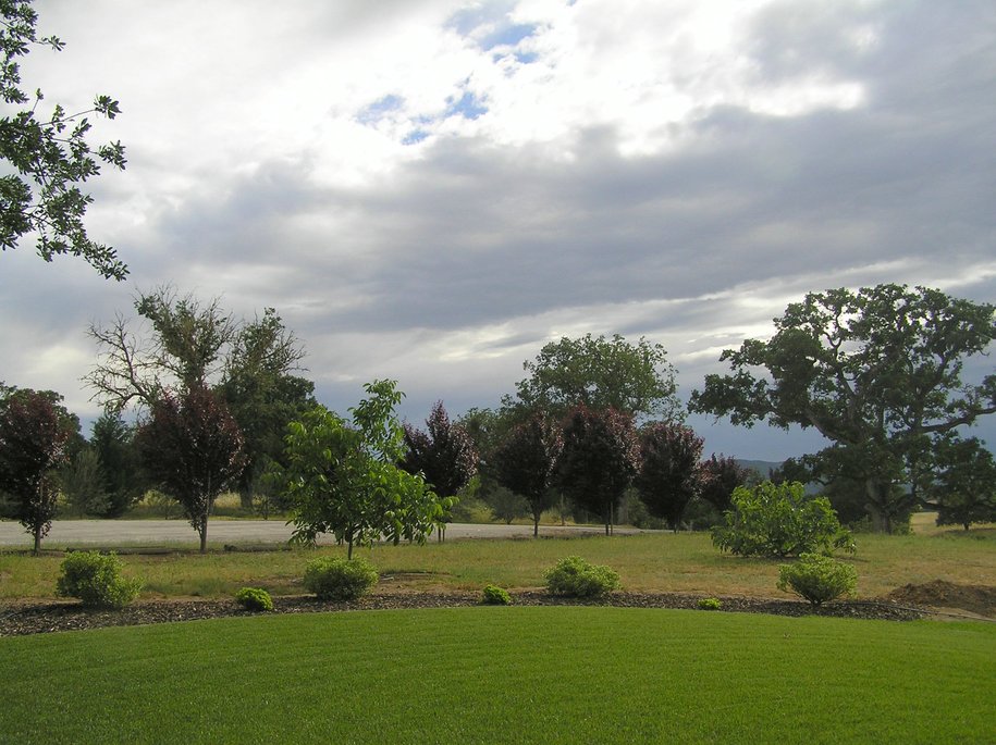 El Paso de Robles (Paso Robles), CA : North Paso, looking West