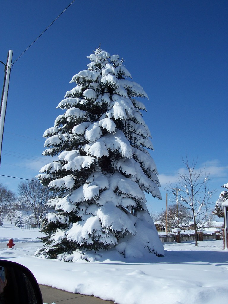 Gering, NE: Snowy Day In Gering, NE
