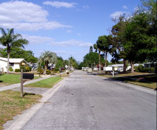 Gulf Gate Estates, FL: Quiet Gulf Gate Street