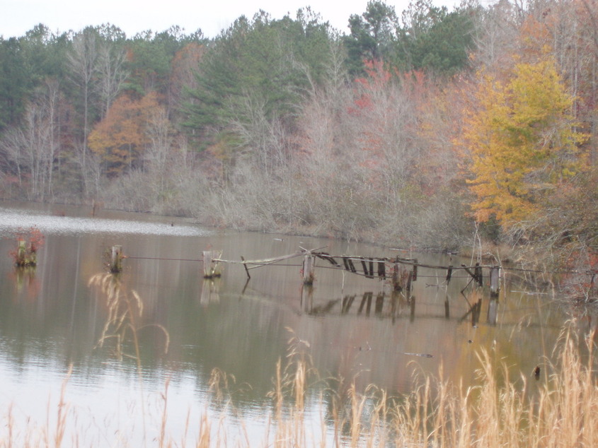 Selmer, TN : Thrasher's Lake