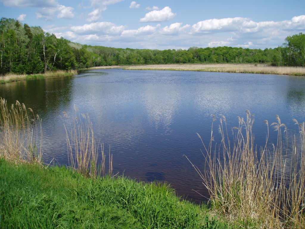 Spooner, WI : The Yellow River photo, picture, image (Wisconsin) at city-data.com