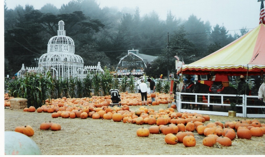 Half Moon Bay, CA: halfmoon bay pumpkin festival