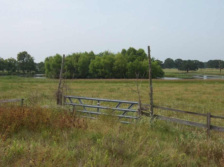 Carmine, TX Tank on backside of Carmine photo, picture, image (Texas