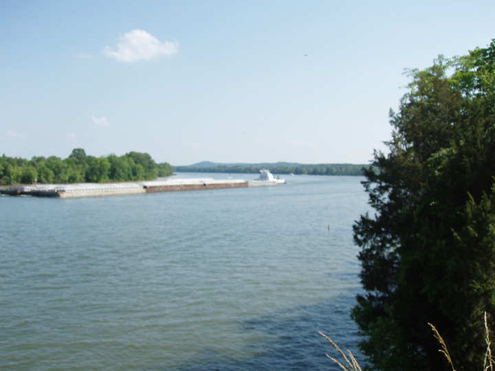 Parsons, TN: Tennessee River at Perryville, TN (5 Miles East of Parsons)