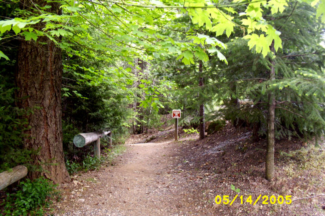 Dunsmuir, CA : Trail leading to Hedge Creek Falls