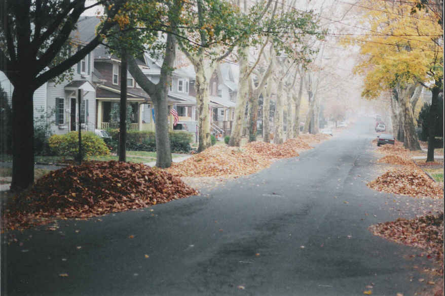 Rutherford, NJ: The Borough of Trees