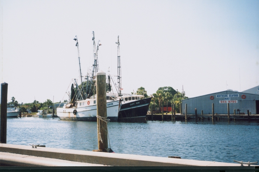 Tarpon Springs, FL : waterfront