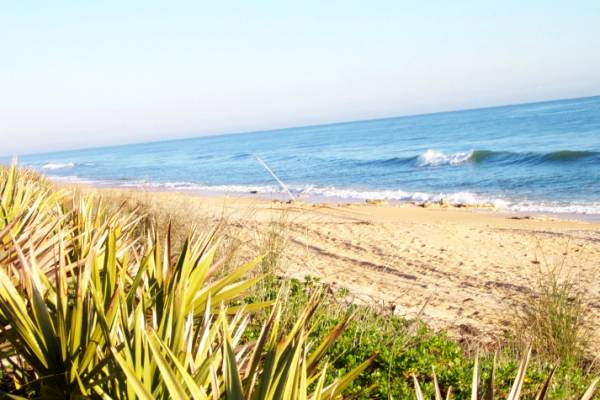 Palm Coast, FL : Hammock Beach, Palm Coast