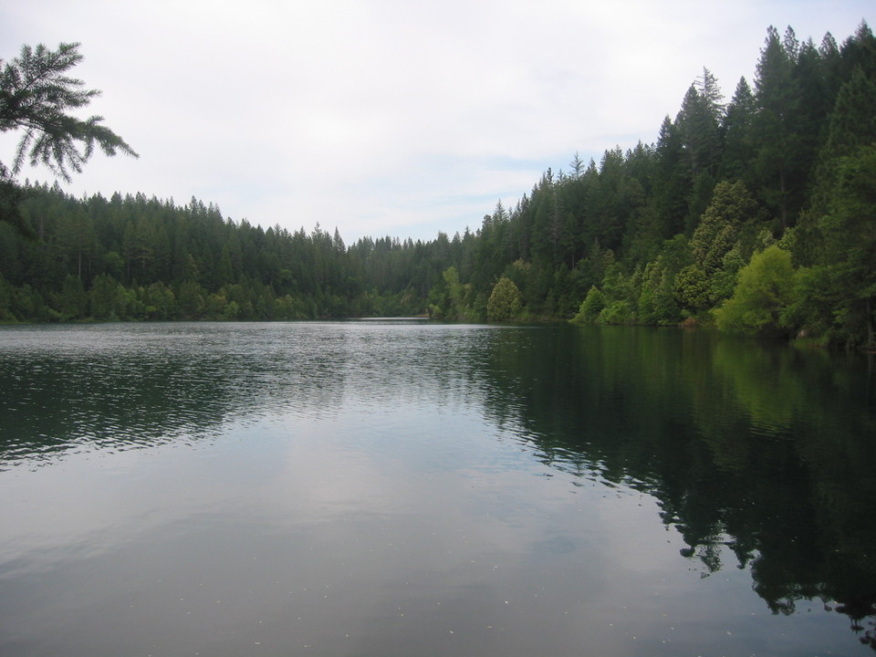 Paradise, CA : Paradise Lake