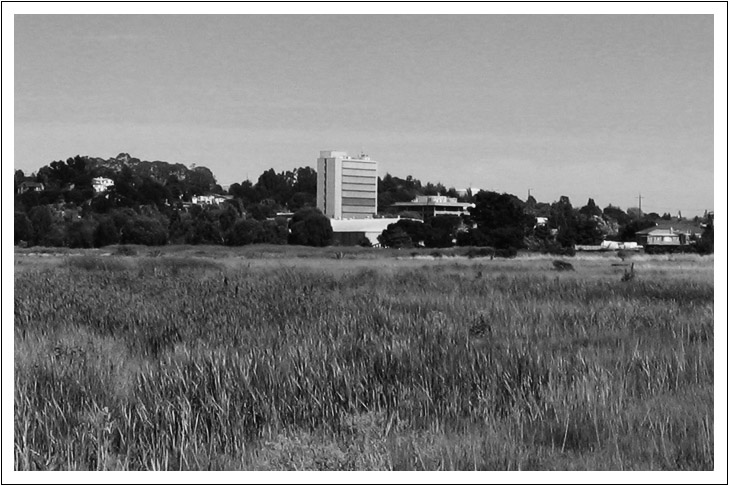 Martinez, CA : Martinez as viewed across the marsh near Waterfront Park