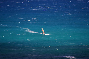 Honolulu, HI : Wind surfing off Waikiki Beach
