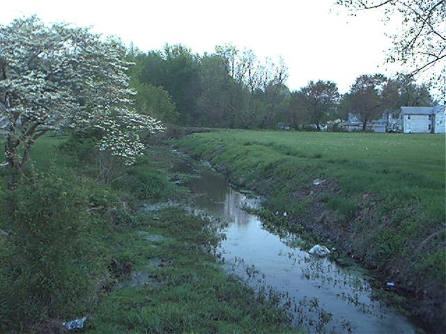 Greenwood, DE : Cart Branch behind the VFW off Governors Avenue