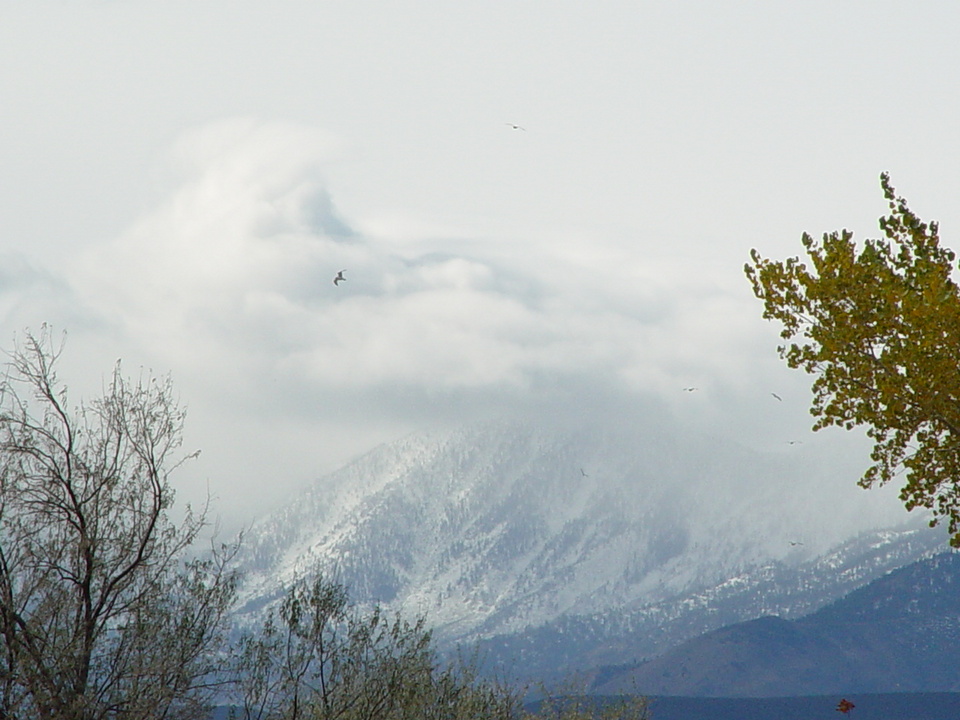 Gardnerville, NV Carson Valley, Nevada photo, picture, image (Nevada