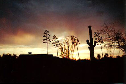 Wickenburg, AZ: Out my backdoor in Country Club Estates