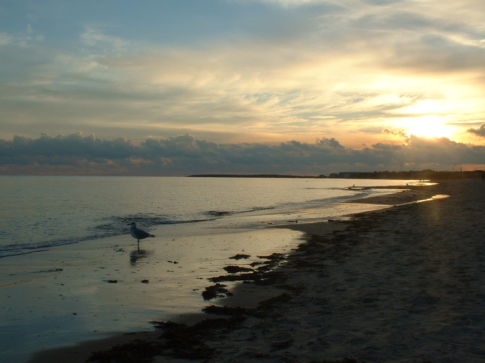 Chatham, MA : Chatham