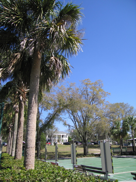 Mount Dora, FL : Palm Trees and Shuffle Board
