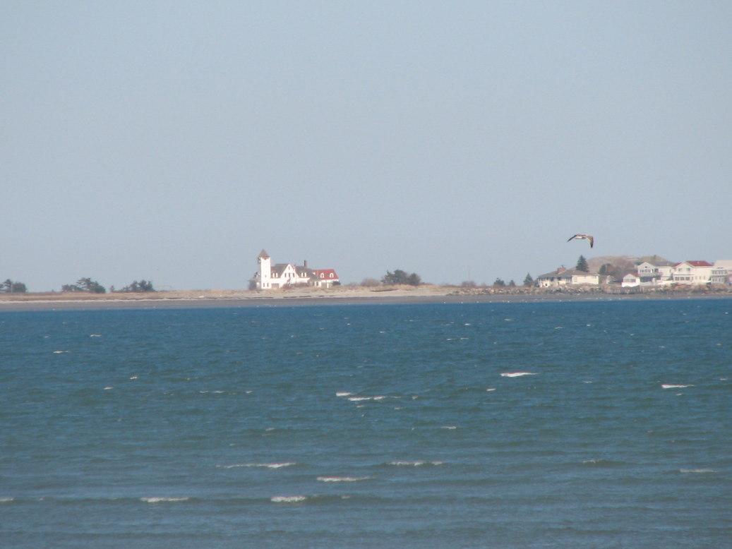 Nahant, MA : life saving staion with bird in flight