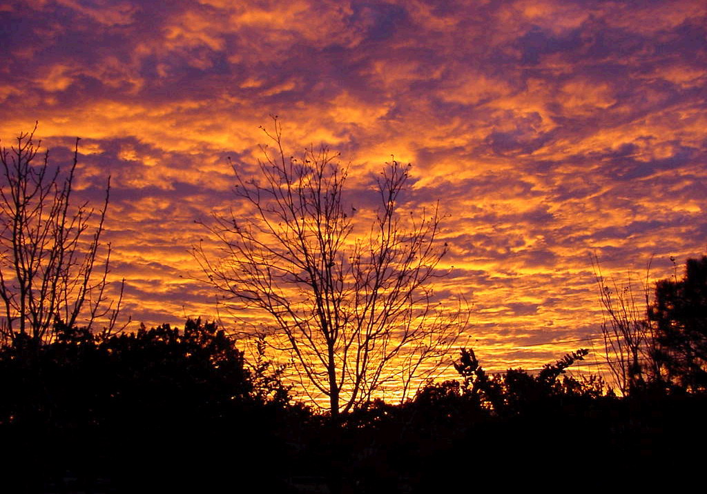 Ingram, TX : Sunrise from our frontyard in Ingram TX.