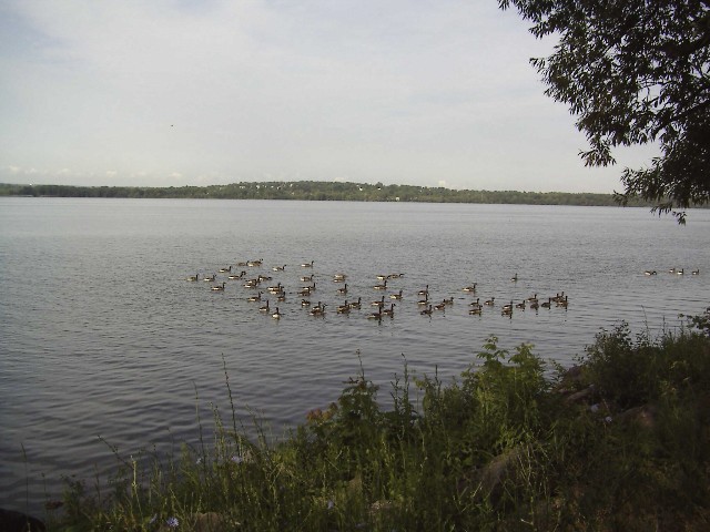 Syracuse, NY : Onondaga Lake