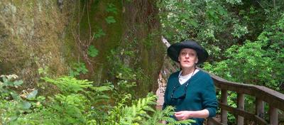 Guerneville, CA : Hiking at Armstrong Woods Park