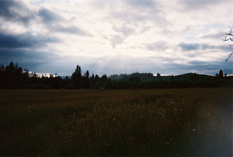 Raymond, WA : Meadow at Dusk