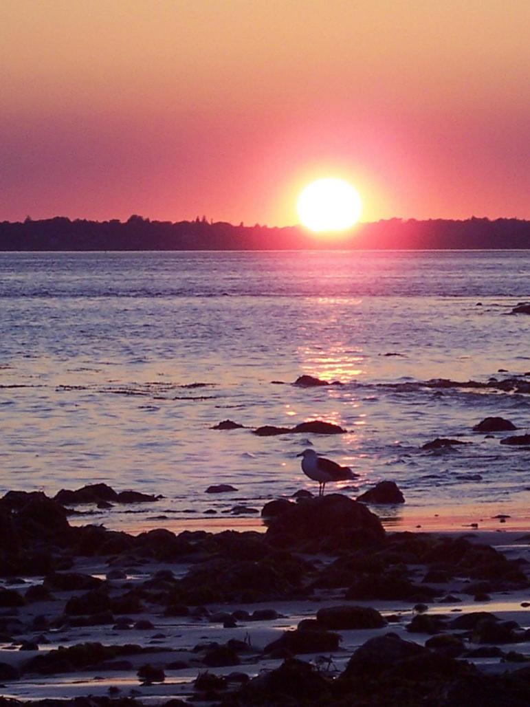 Plymouth, MA: Sunset over the bay