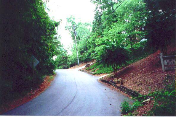 Vinings, GA: street in residential area