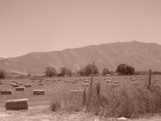 Genola, UT : Genola Field