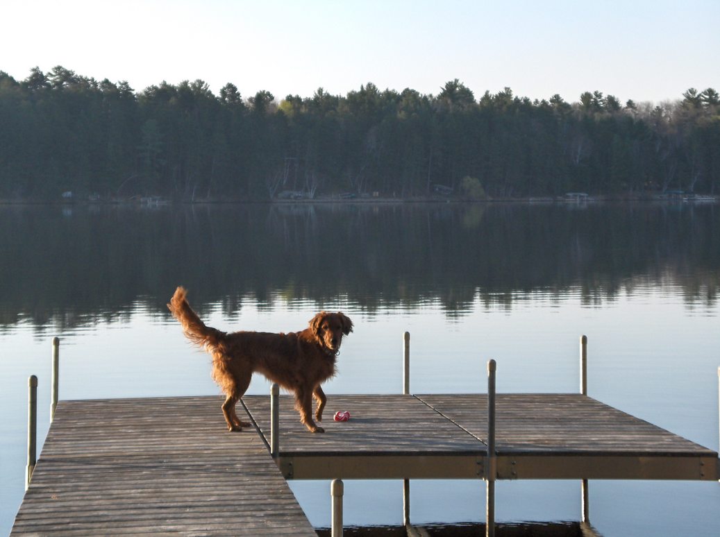 Lake Shore, MN : Saturday Morning