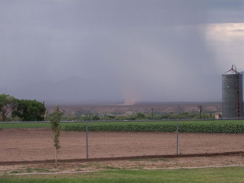 Pima, AZ : Dust dev il in monsoon storm over Pima