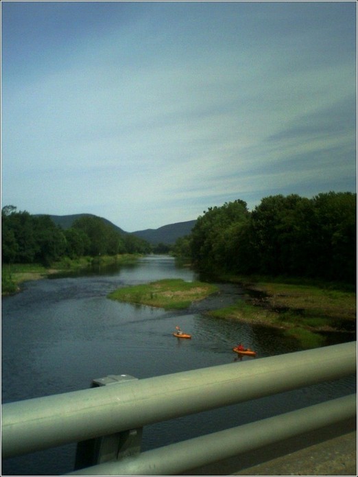 Jersey Shore, PA: Pine Creek from Rt 44 - paddlers