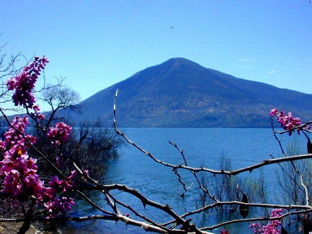 Clearlake, CA : glenhaven