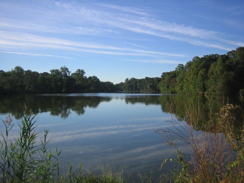 Pitman, NJ : Pitman Alcyon Lake reflection photo, picture, image (New 