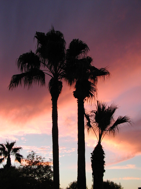 Mesa, AZ: September sunset